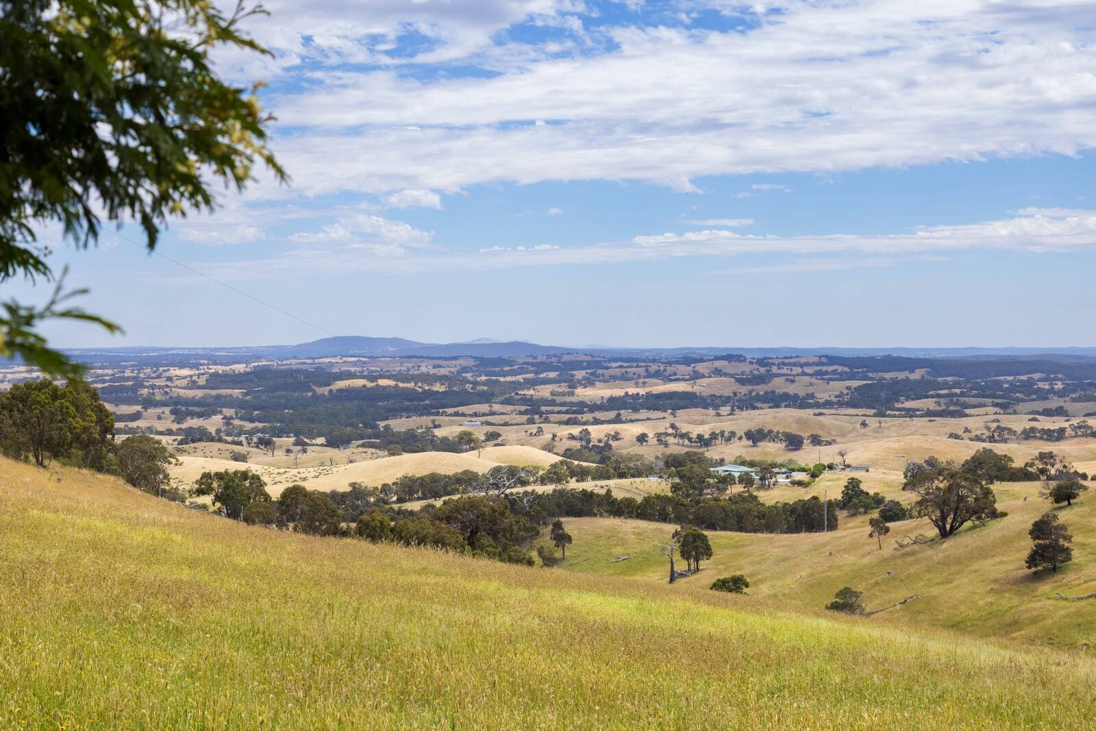 Real Estate and Property in 1615 Dairy Flat Road, Tooborac, VIC
