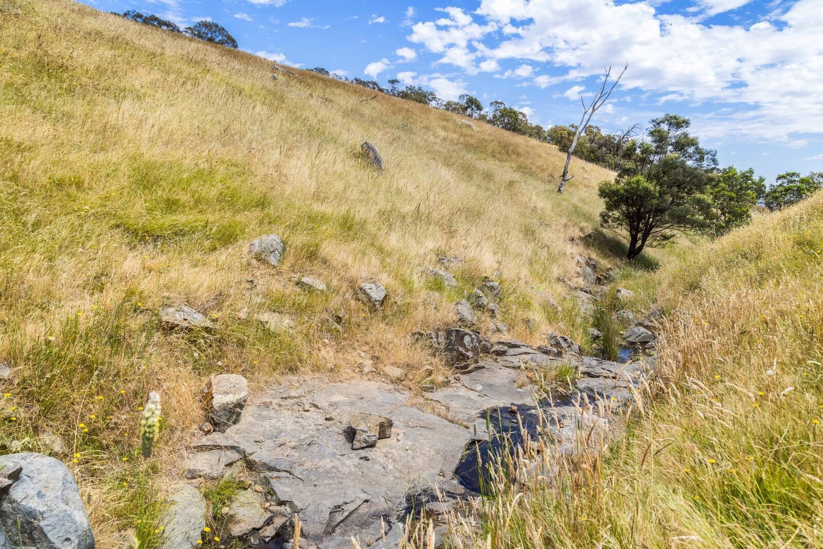 Real Estate and Property in 1615 Dairy Flat Road, Tooborac, VIC