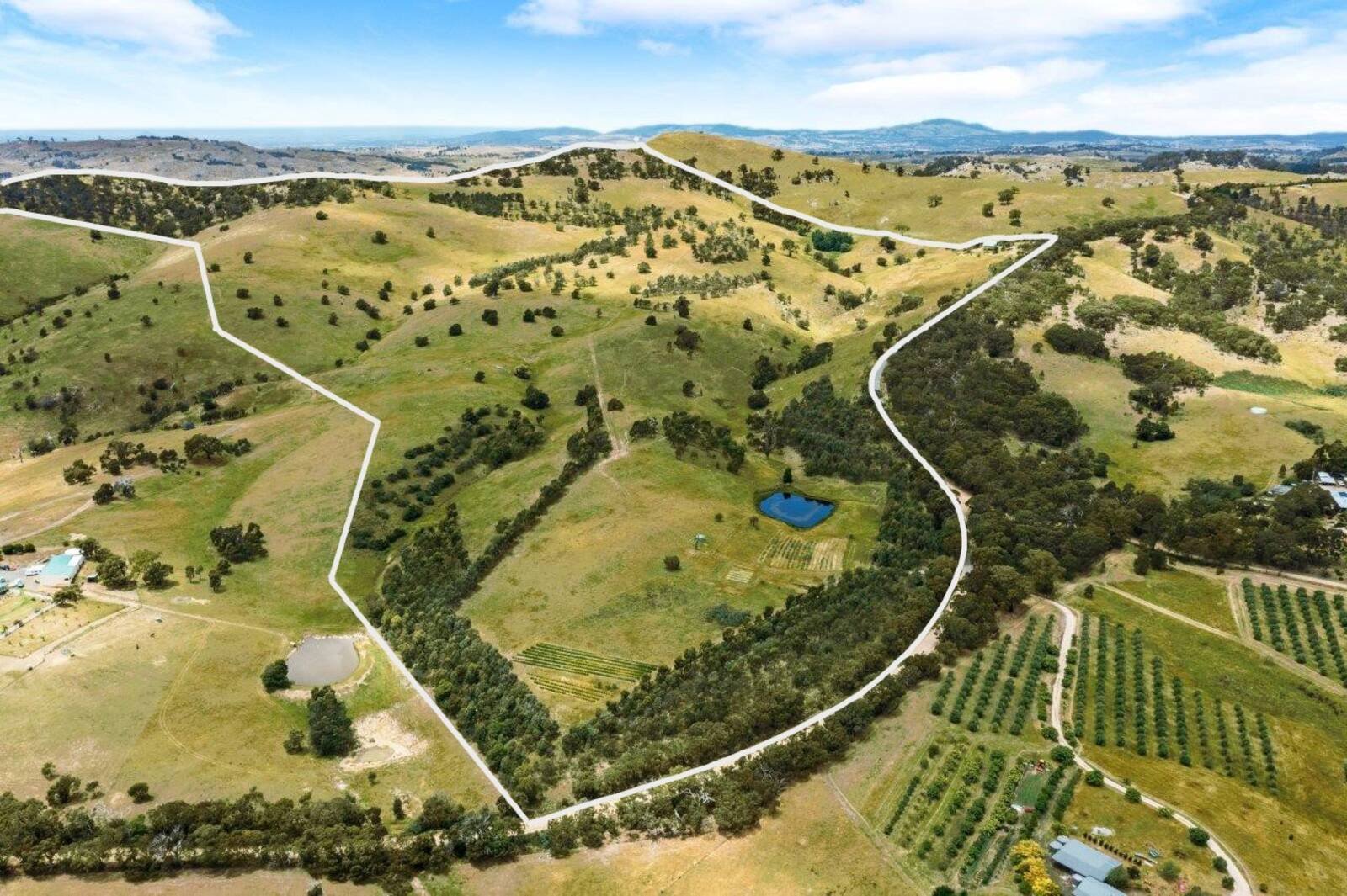 Real Estate and Property in 1615 Dairy Flat Road, Tooborac, VIC