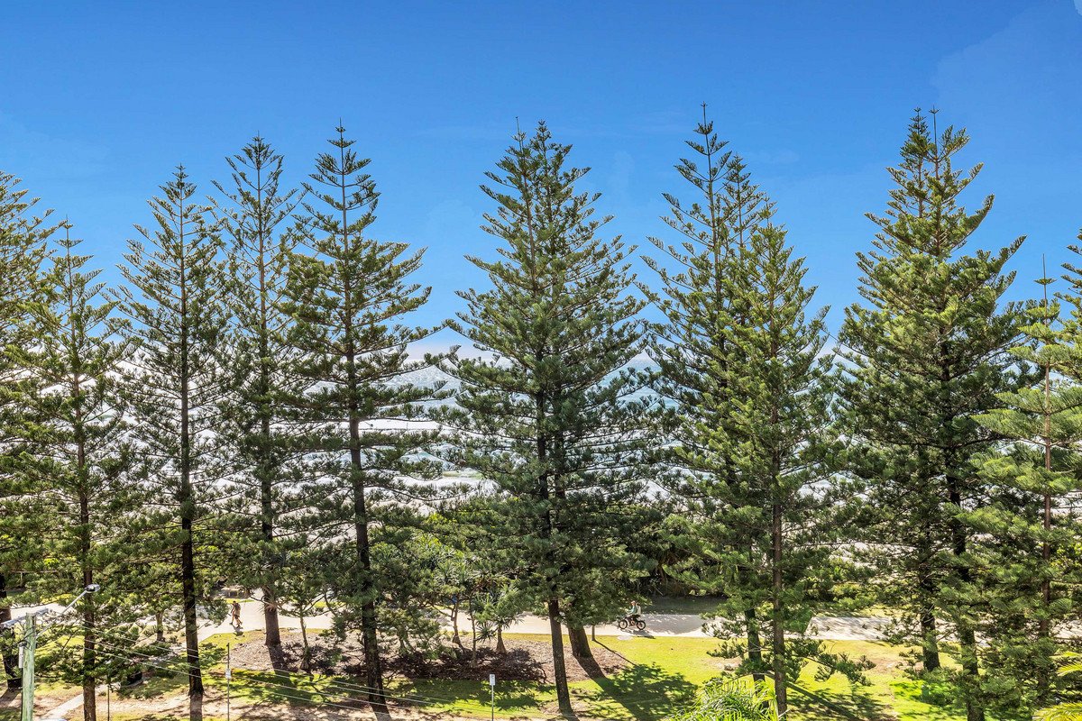 16/170 The Esplanade Burleigh Heads 3