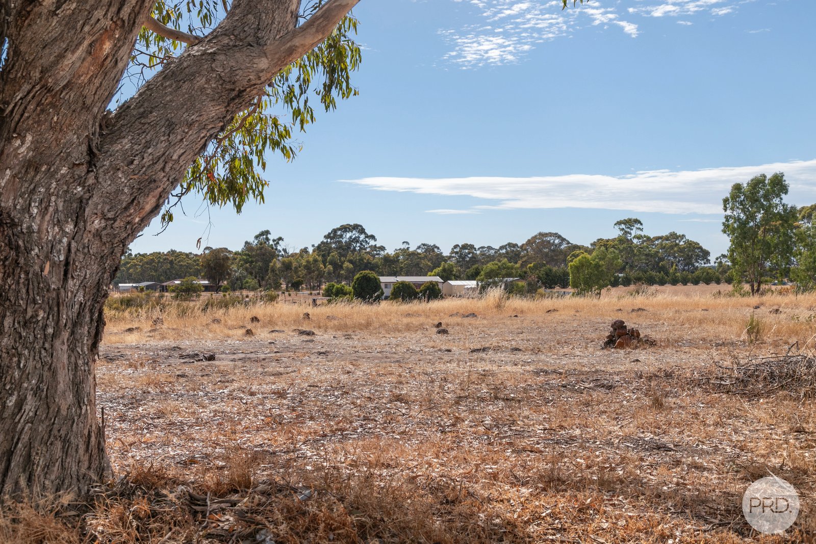 162 Fairview Drive CLUNES 7