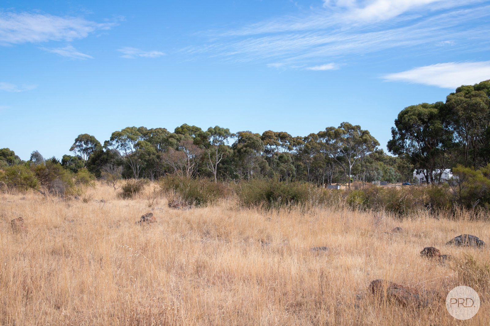 162 Fairview Drive CLUNES 13