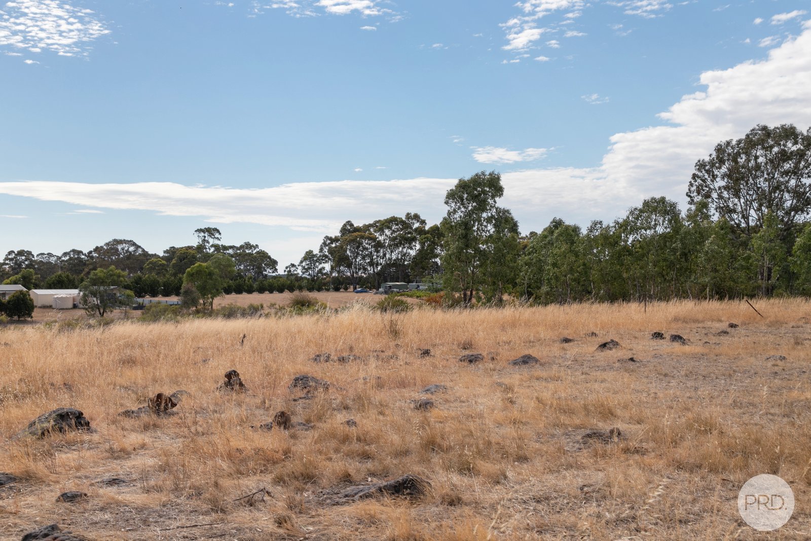 162 Fairview Drive CLUNES 14