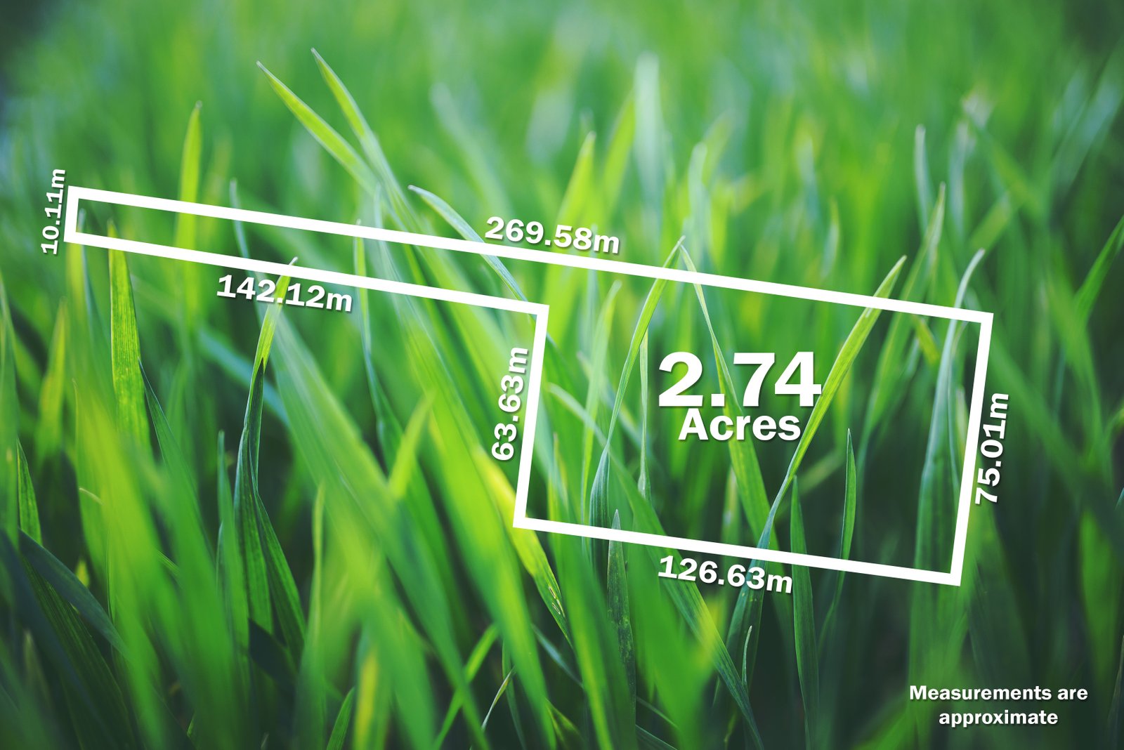 162 Fairview Drive CLUNES 17