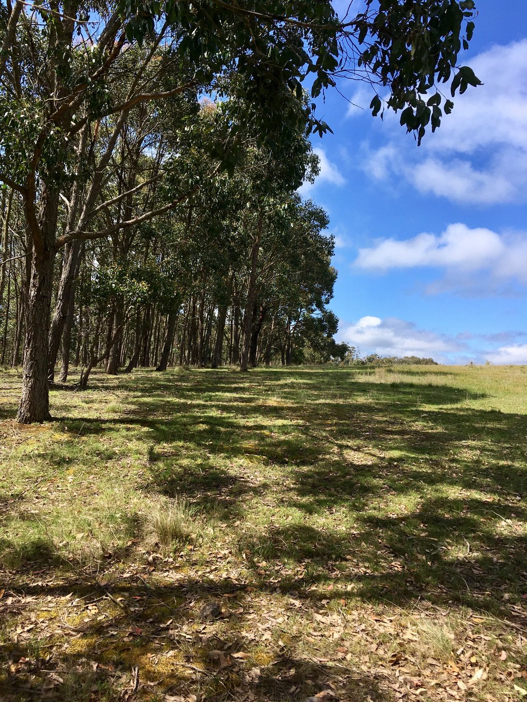 162 Flagstaff Ridge Road LINTON 8