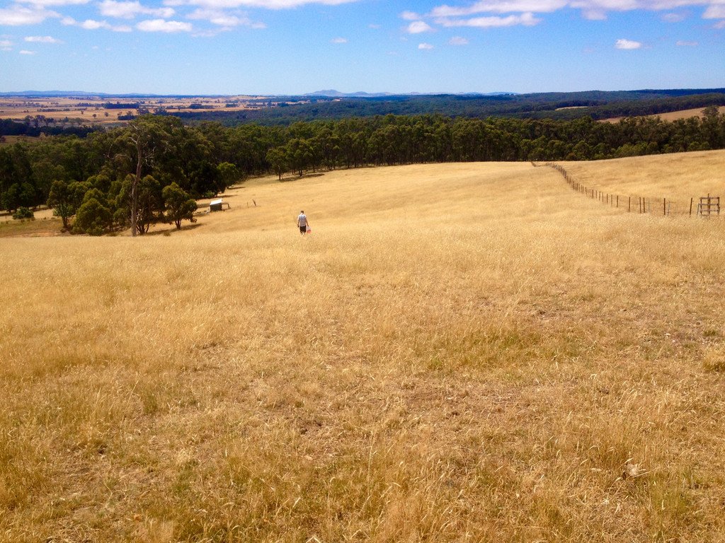 162 Flagstaff Ridge Road LINTON 9