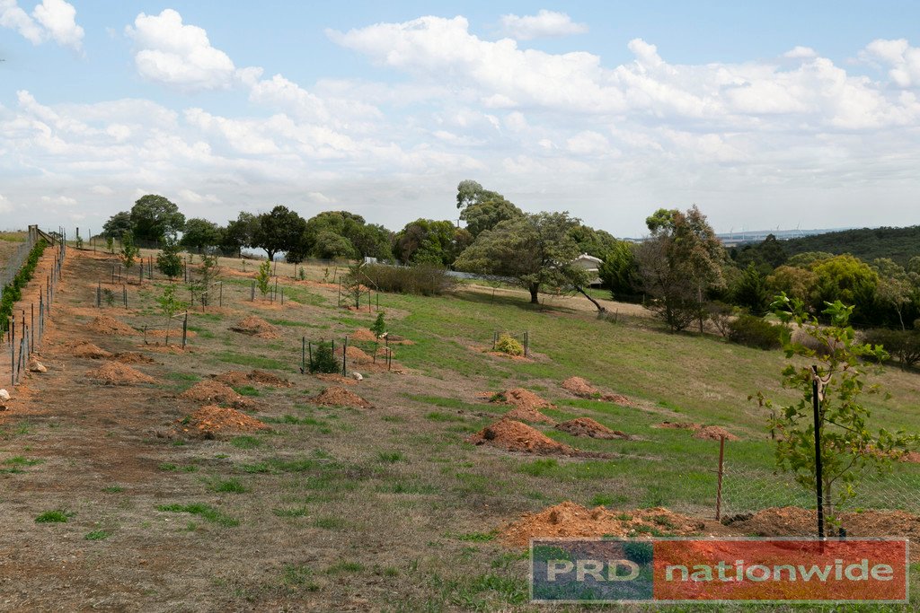 162 Flagstaff Ridge Road LINTON 12