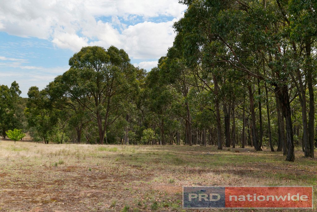 162 Flagstaff Ridge Road LINTON 15