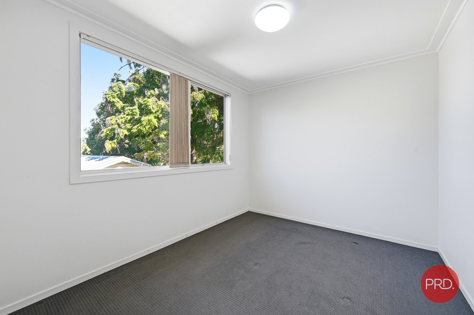 163 Beryl Street COFFS HARBOUR 11