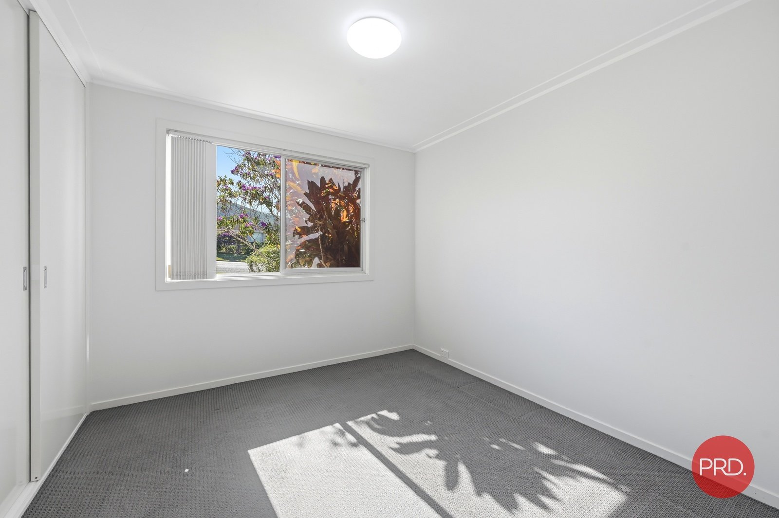 163 Beryl Street COFFS HARBOUR 12