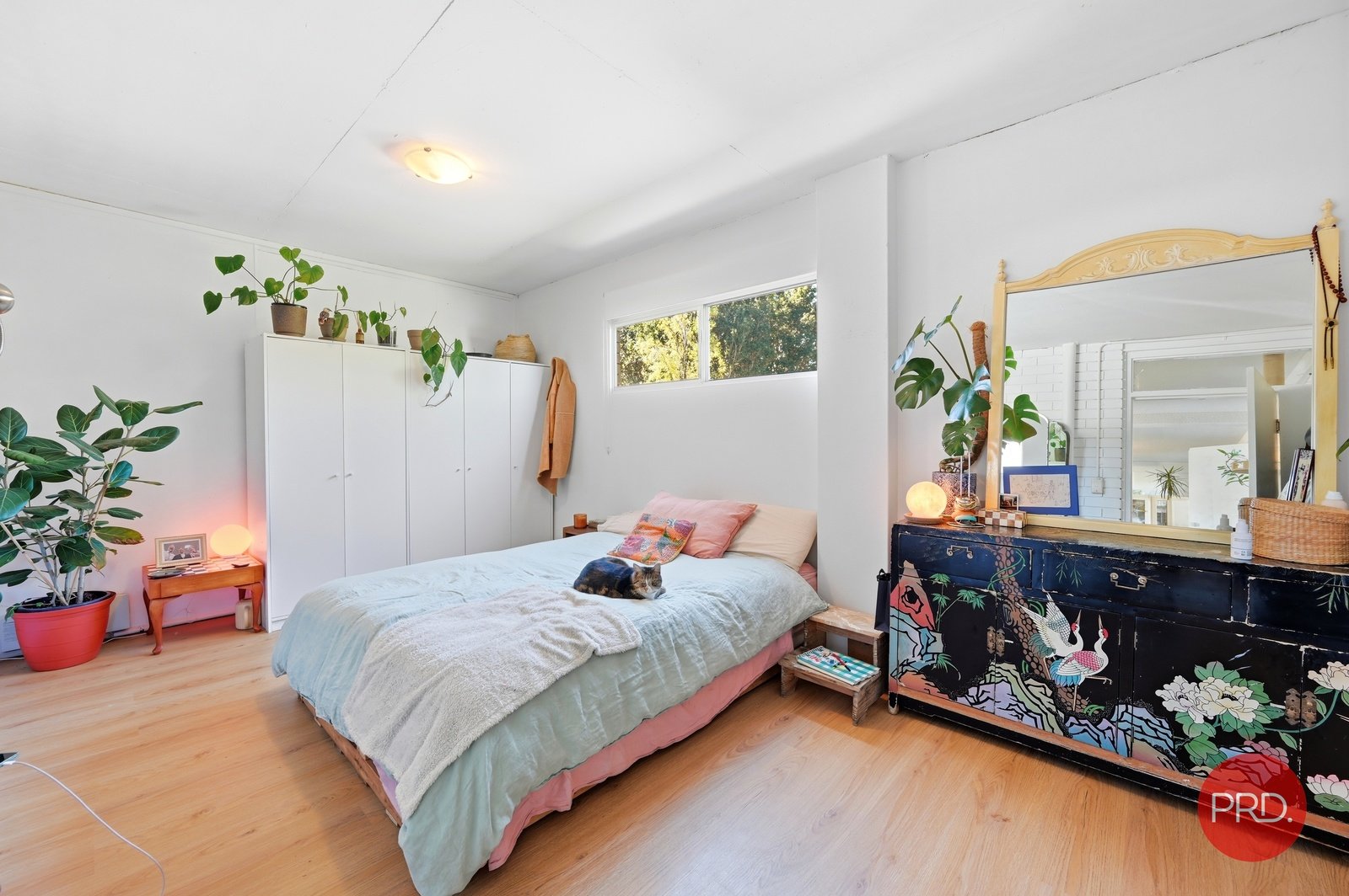 163 Beryl Street COFFS HARBOUR 23