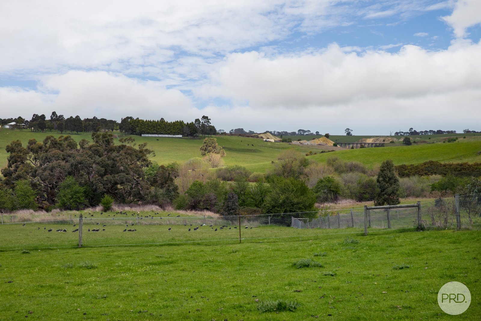 163 Judds Road SCARSDALE 18