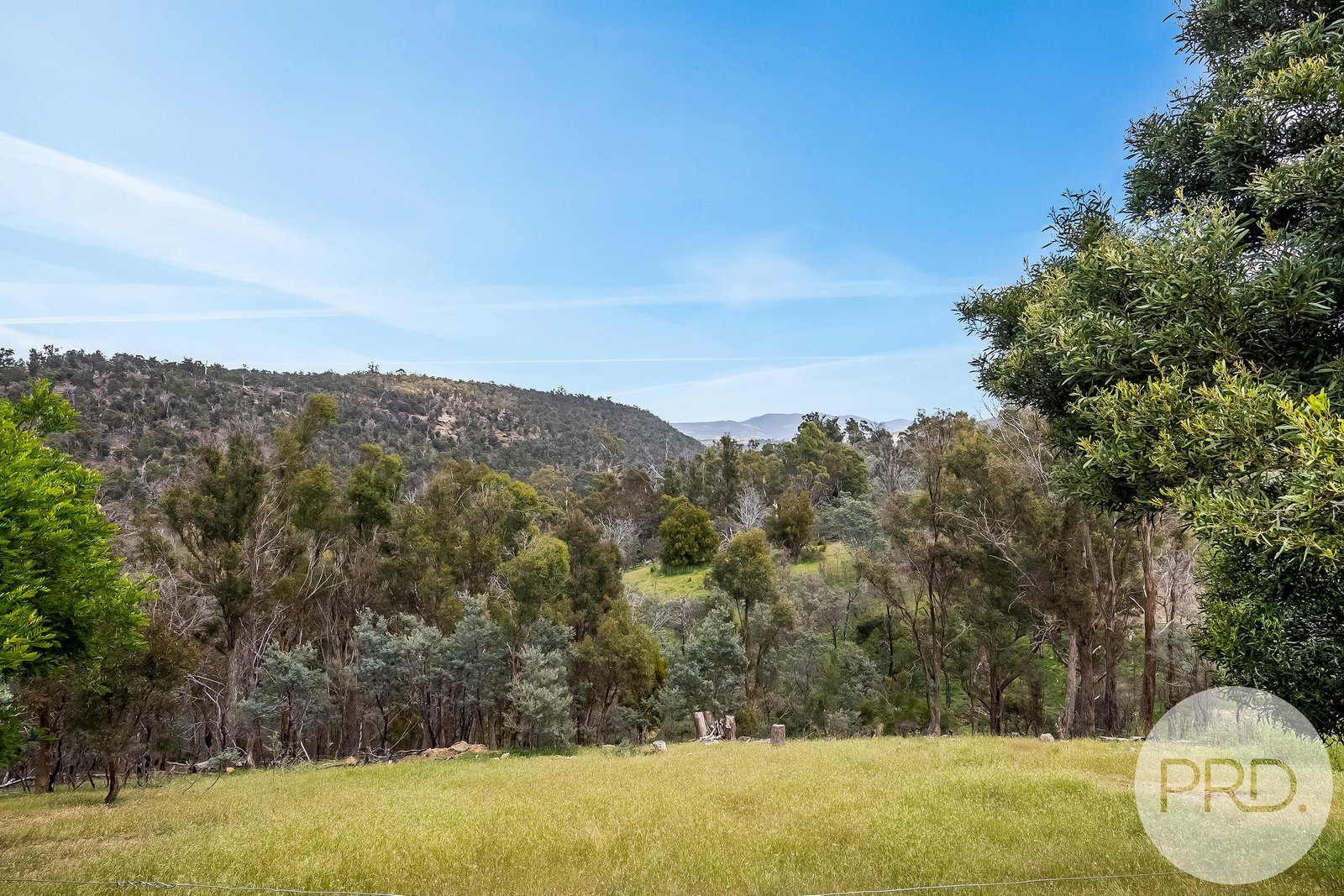163 Longwood Road BAGDAD 28