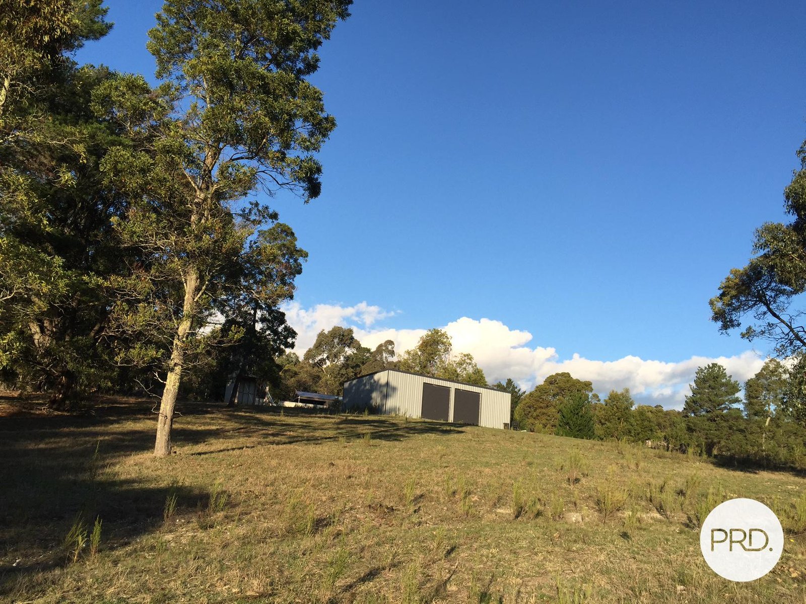 163 Moss Avenue MOUNT HELEN 10