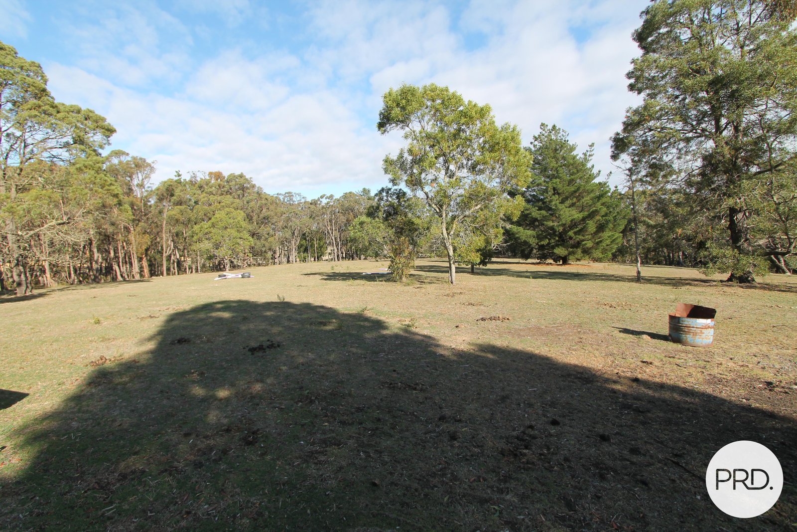 163 Moss Avenue MOUNT HELEN 11