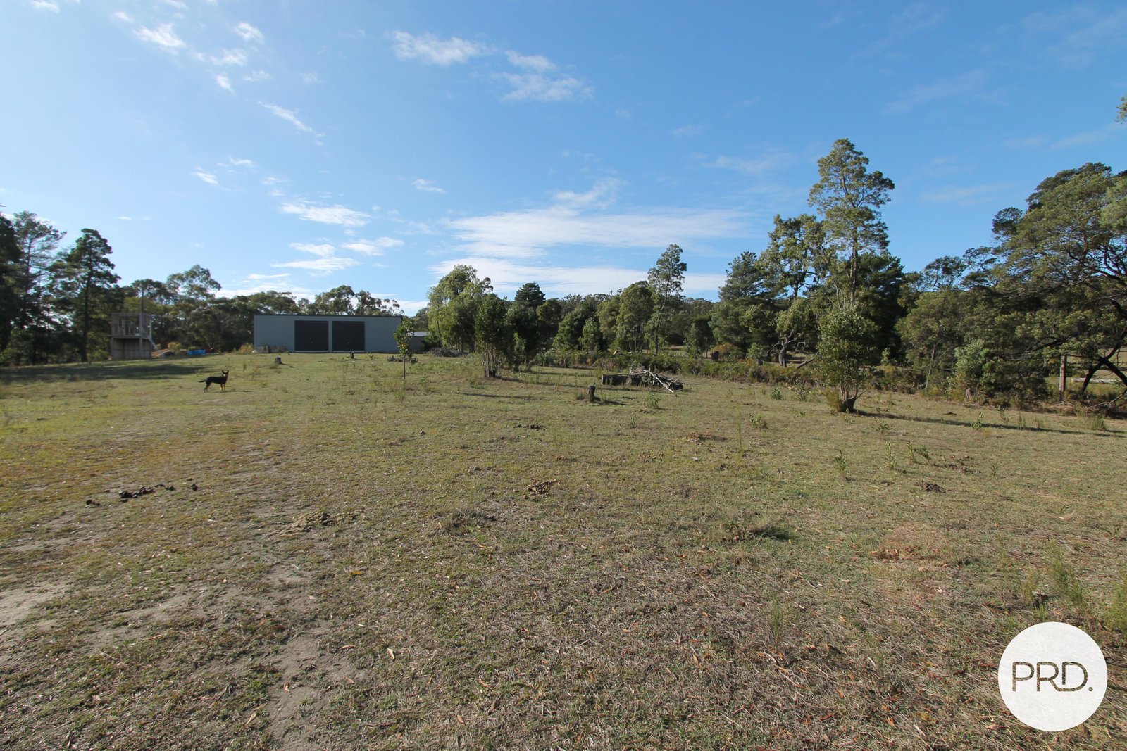 163 Moss Avenue MOUNT HELEN 12