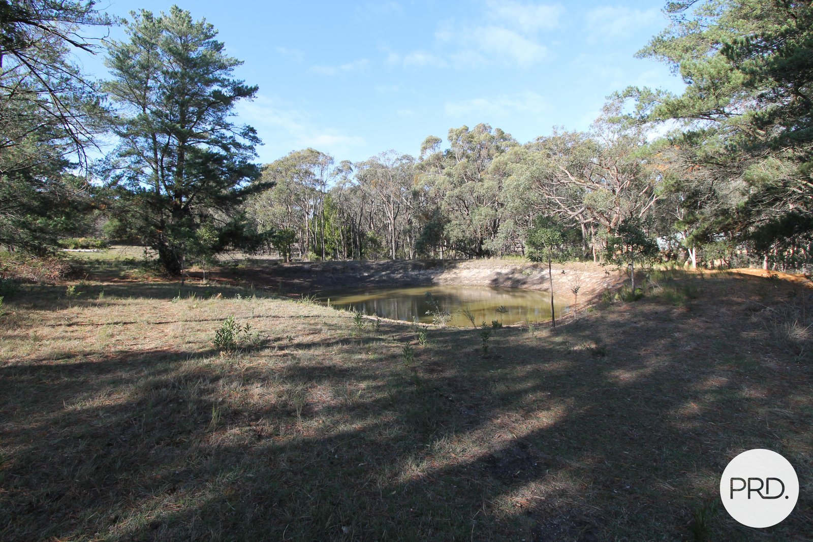 163 Moss Avenue MOUNT HELEN 13