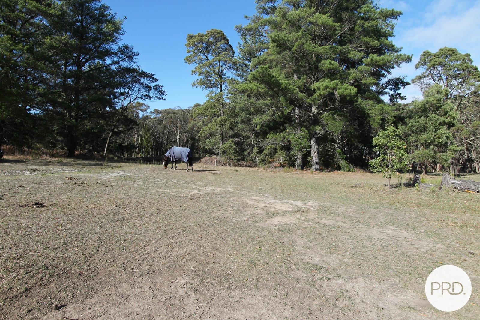 163 Moss Avenue MOUNT HELEN 14