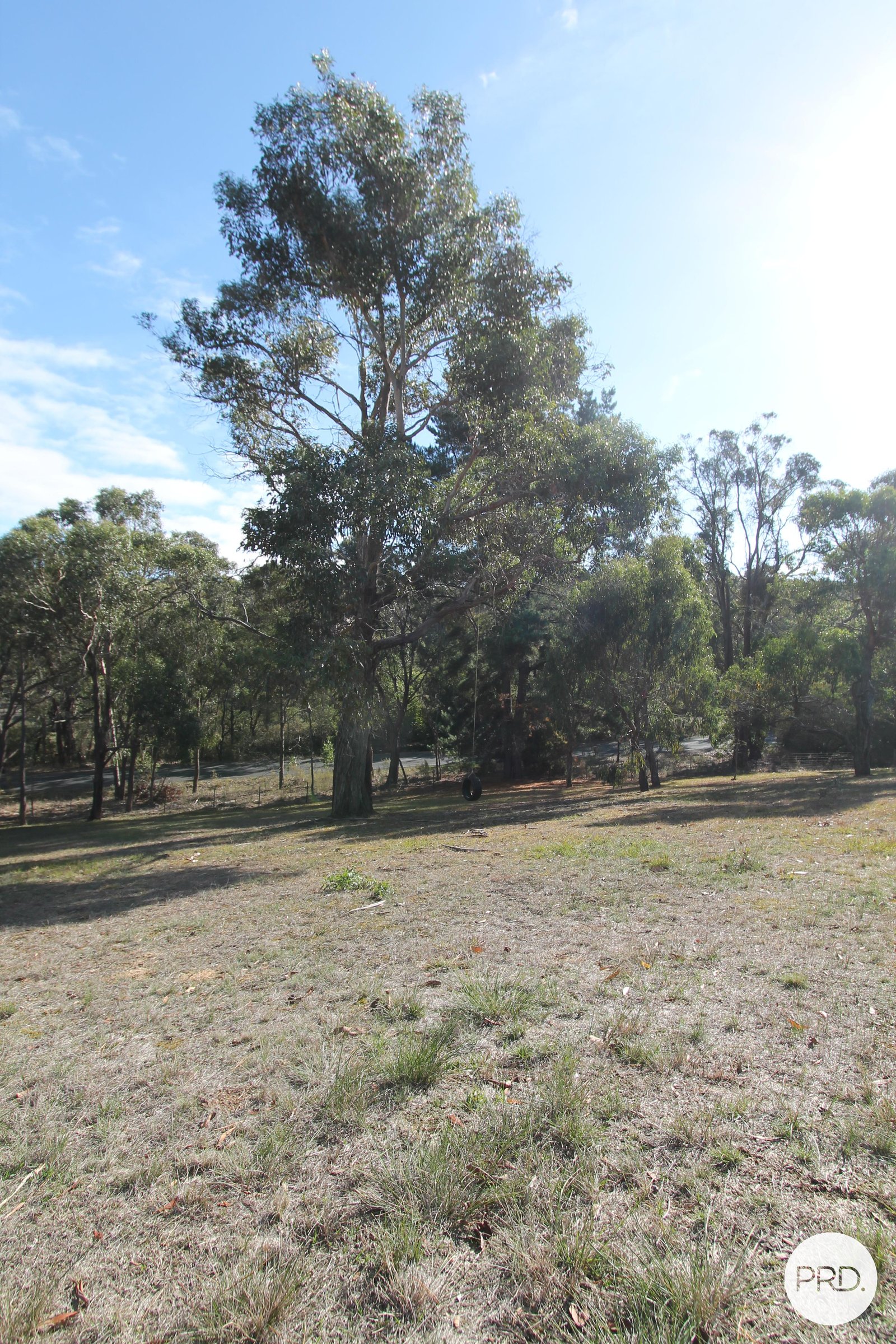 163 Moss Avenue MOUNT HELEN 17