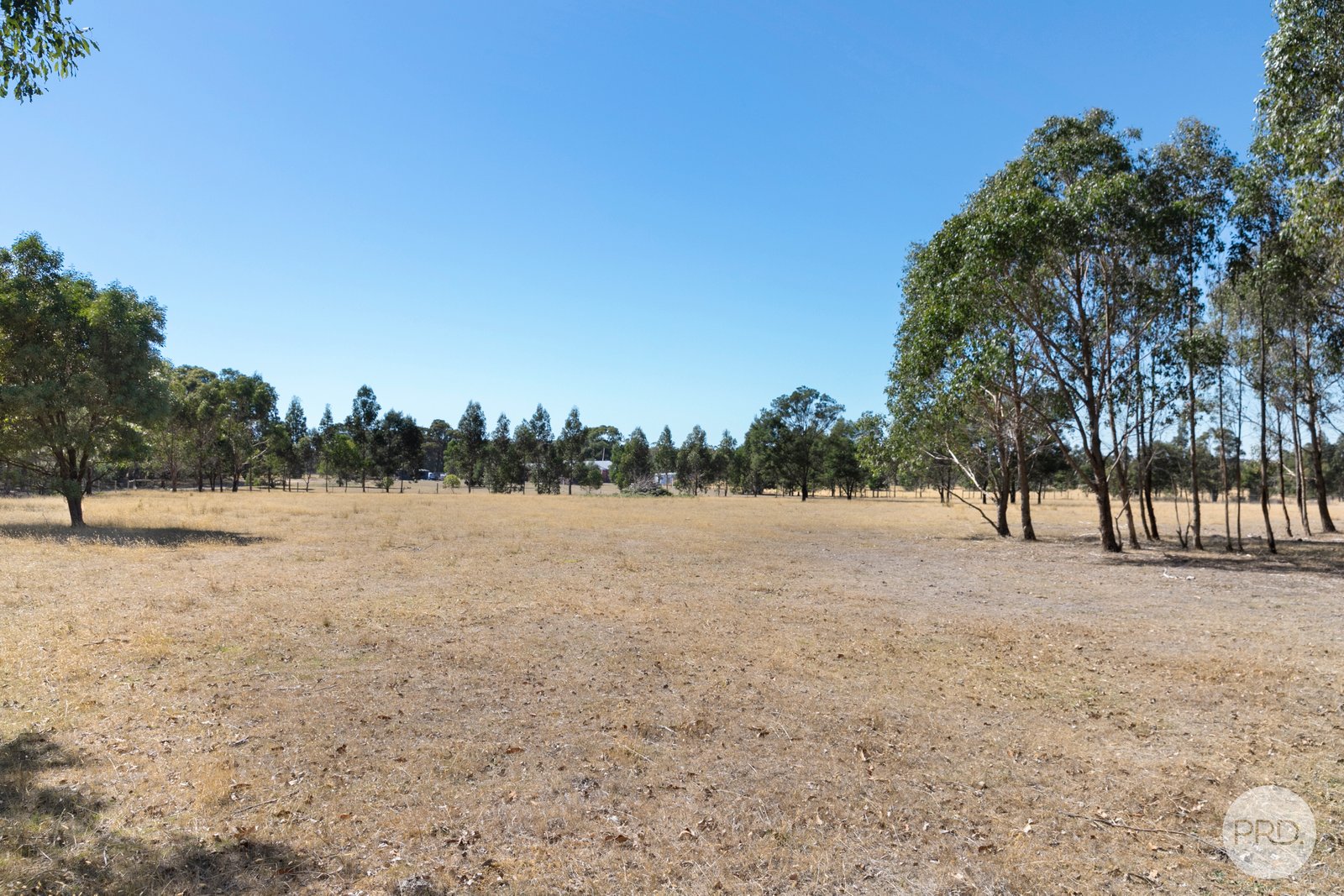 163 Nash's Road SCOTSBURN 16