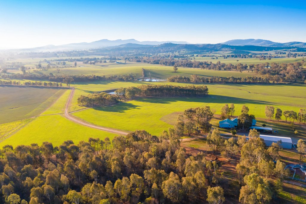 163 Plunkett Road BOWNA 10