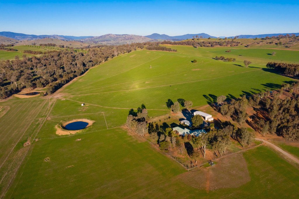 163 Plunkett Road BOWNA 14