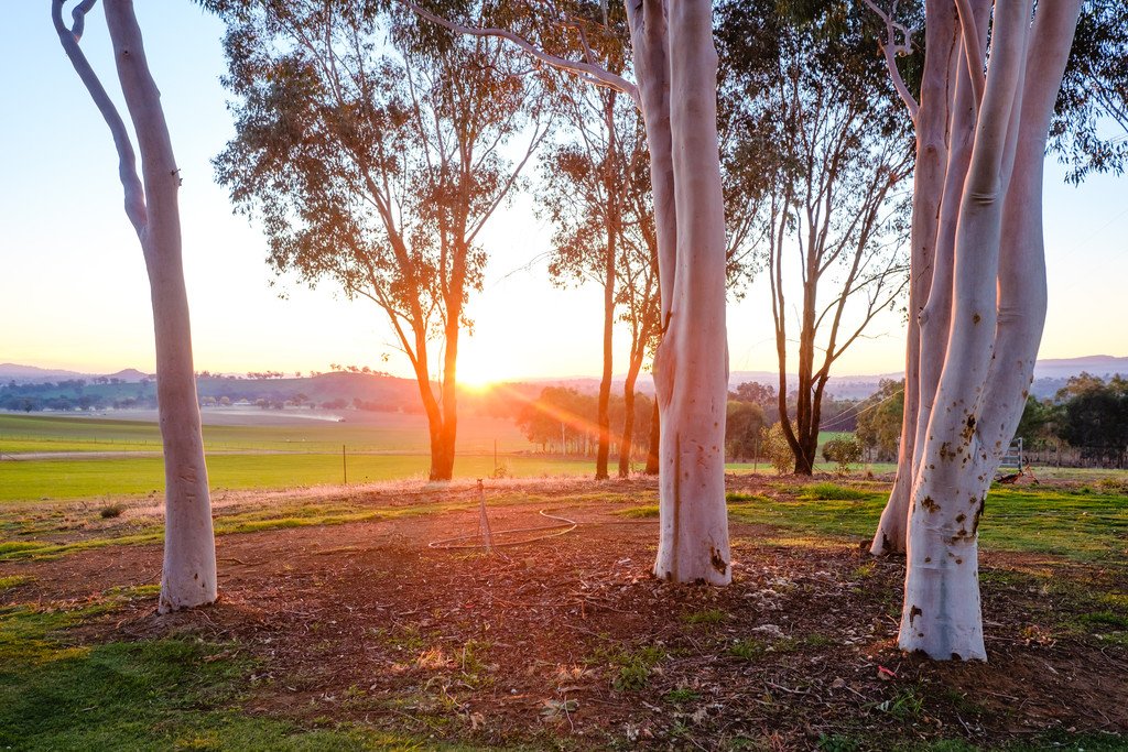 163 Plunkett Road BOWNA 16