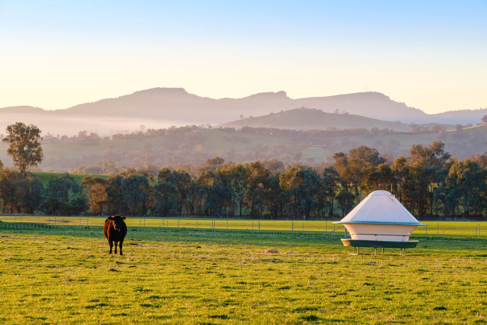 163 Plunkett Road BOWNA 17