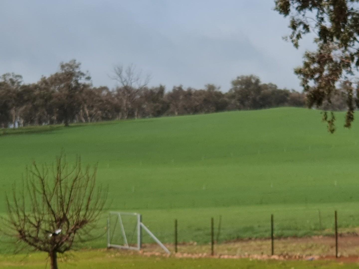 163 Plunkett Road BOWNA 19