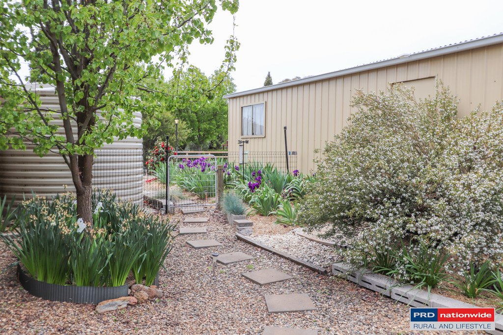 1639 Tumbarumba Road TUMBARUMBA 13