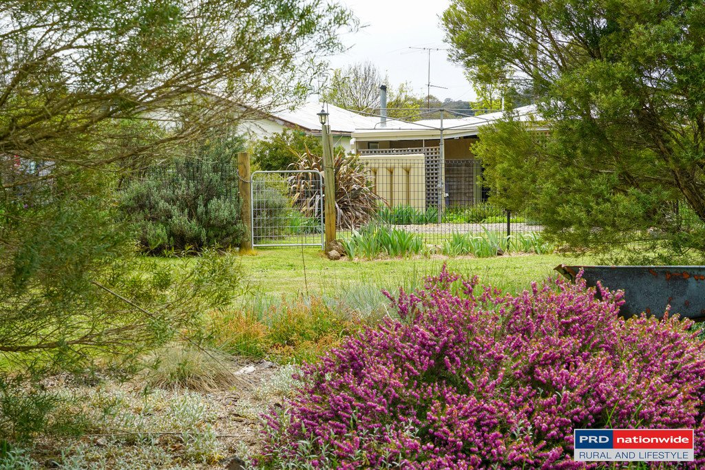 1639 Tumbarumba Road TUMBARUMBA 15