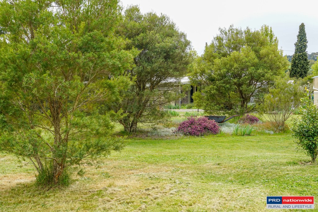 1639 Tumbarumba Road TUMBARUMBA 16