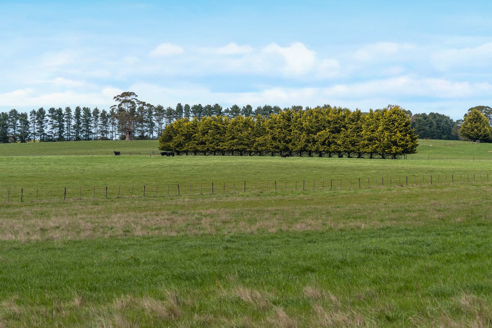 Real Estate and Property in 164 Carlsruhe Central Road, Woodend, VIC