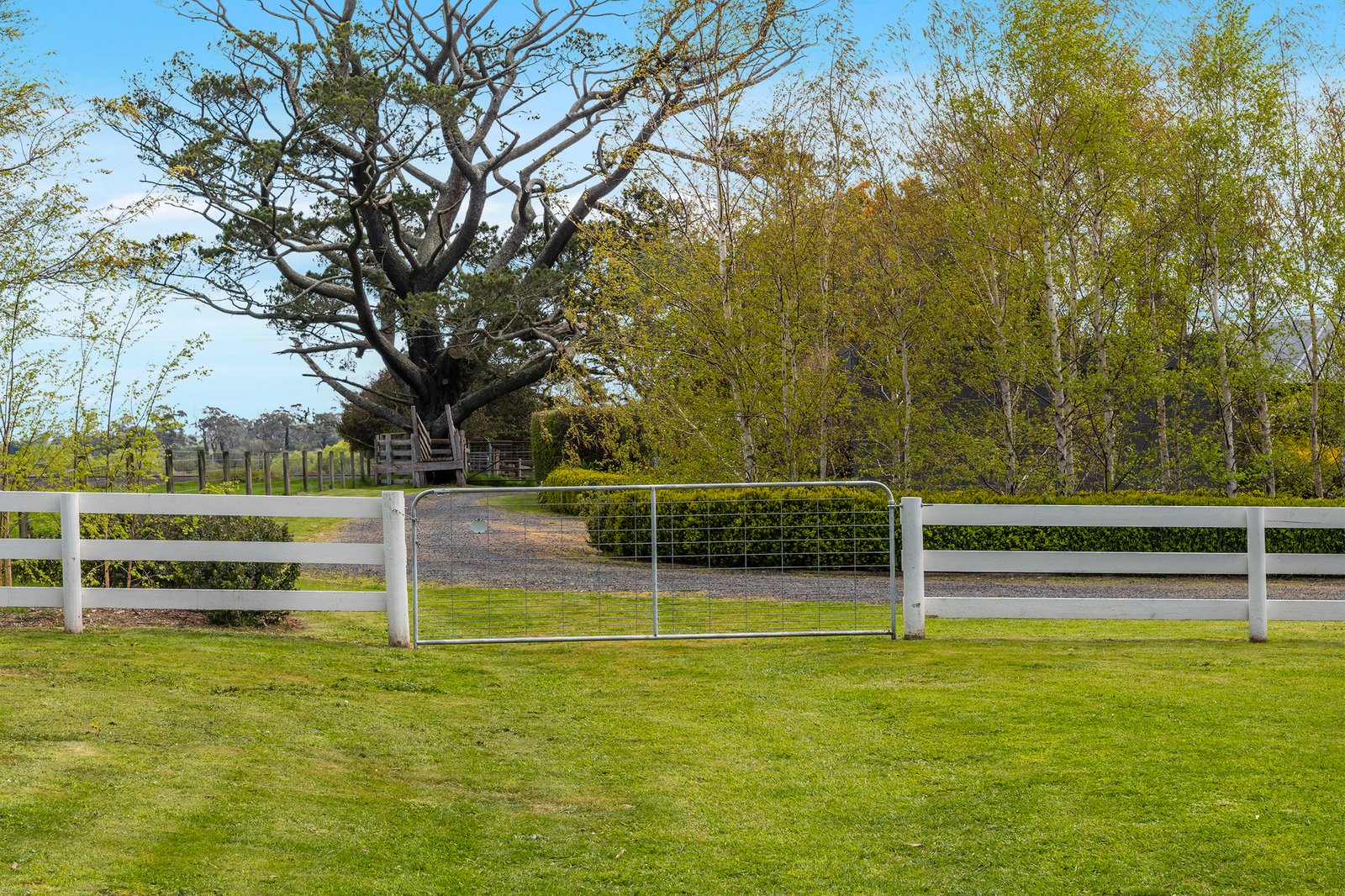 Real Estate and Property in 164 Carlsruhe Central Road, Woodend, VIC