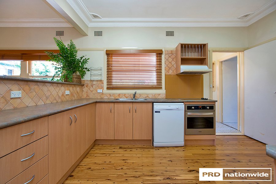 164 Carthage Street TAMWORTH 13