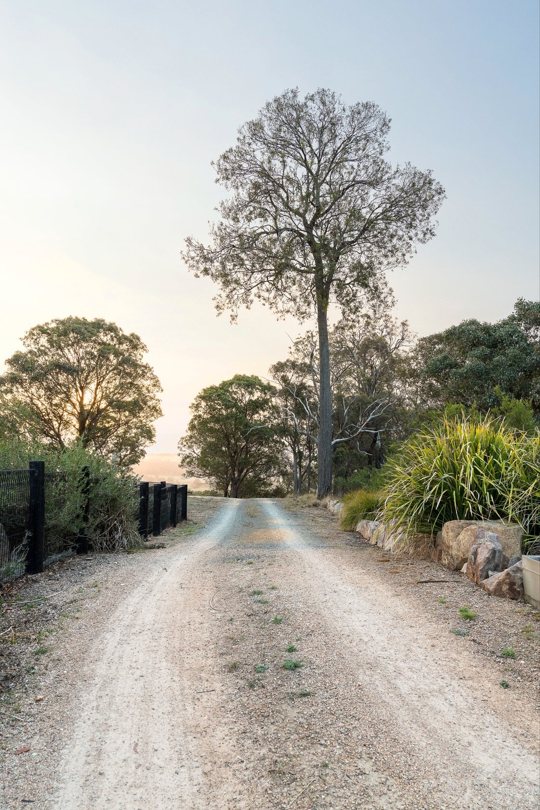 Real Estate and Property in 164 Mulhollands Road, Sarsfield, VIC