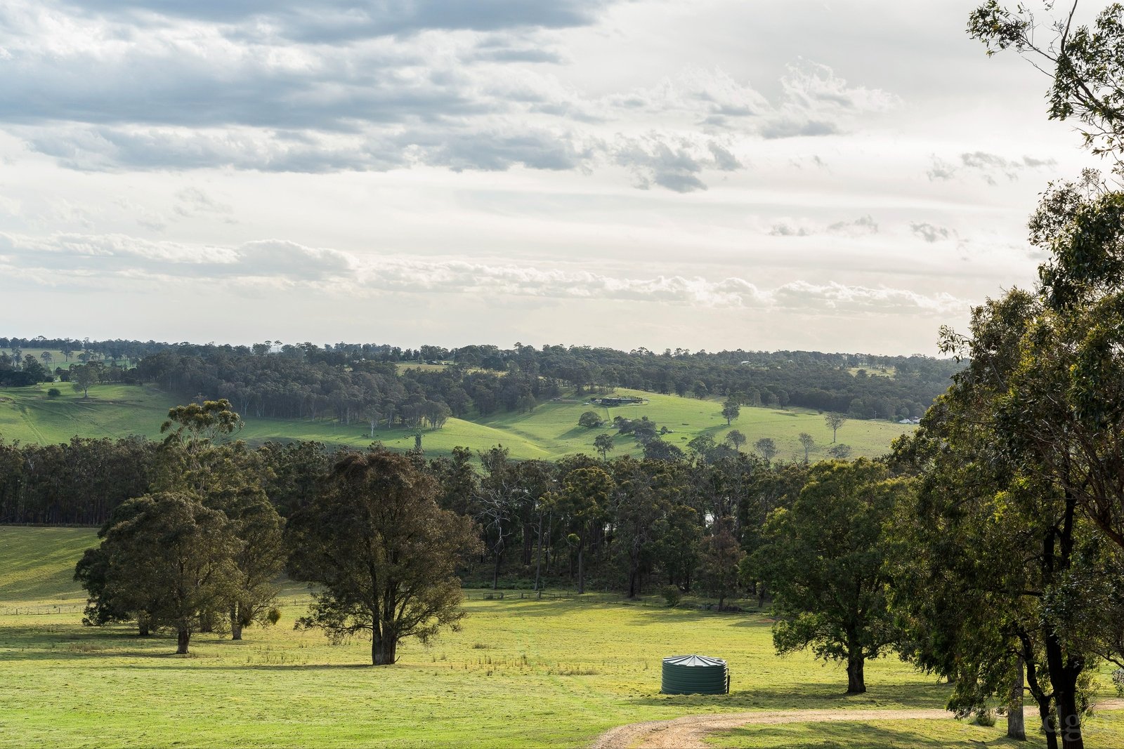 Real Estate and Property in 164 Mulhollands Road, Sarsfield, VIC