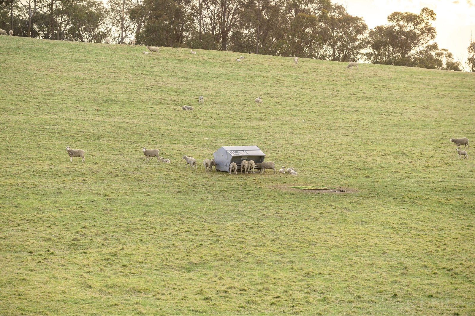 Real Estate and Property in 164 Mulhollands Road, Sarsfield, VIC