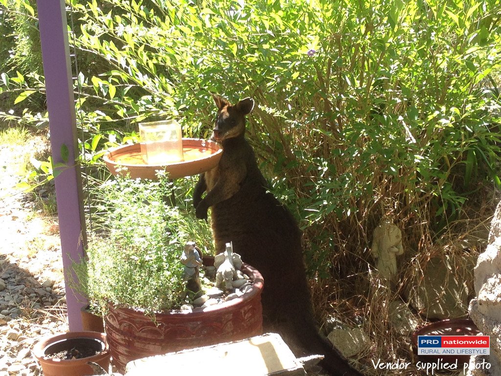 164 Power Street TUMBARUMBA 16