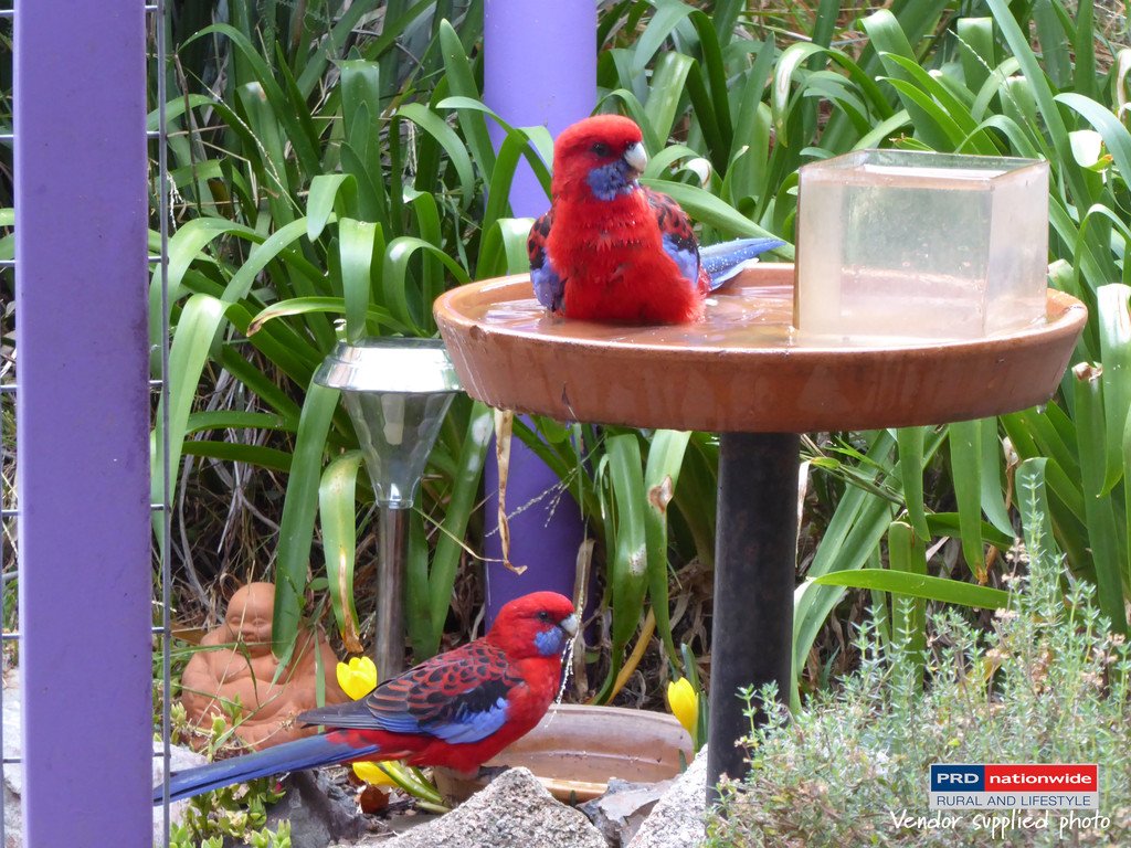 164 Power Street TUMBARUMBA 17