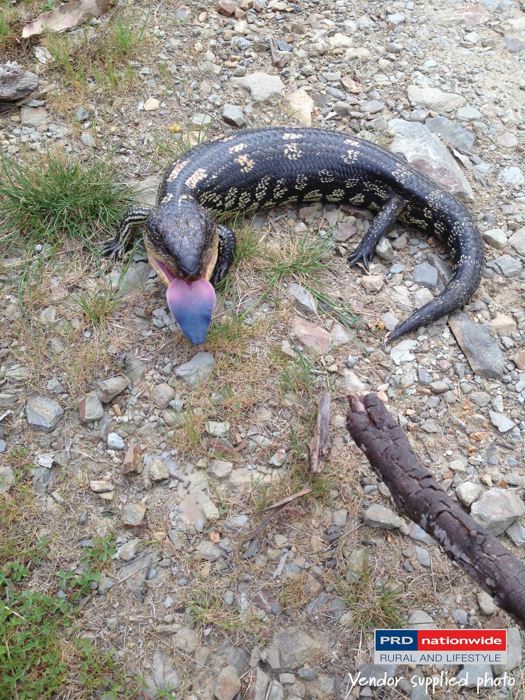 164 Power Street TUMBARUMBA 18