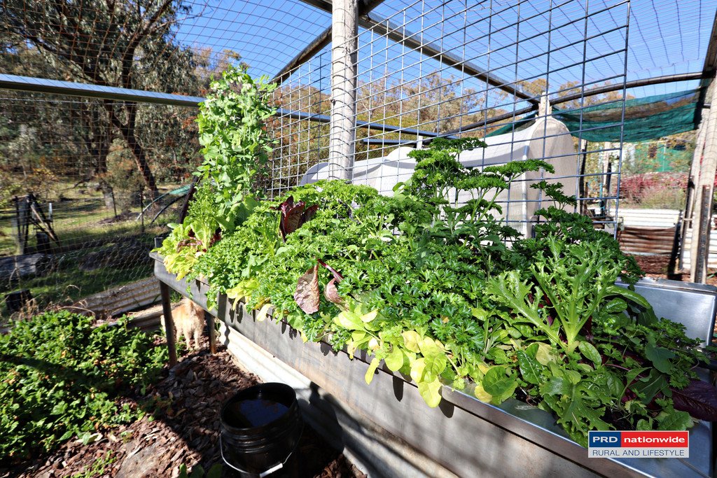 164 Power Street TUMBARUMBA 19