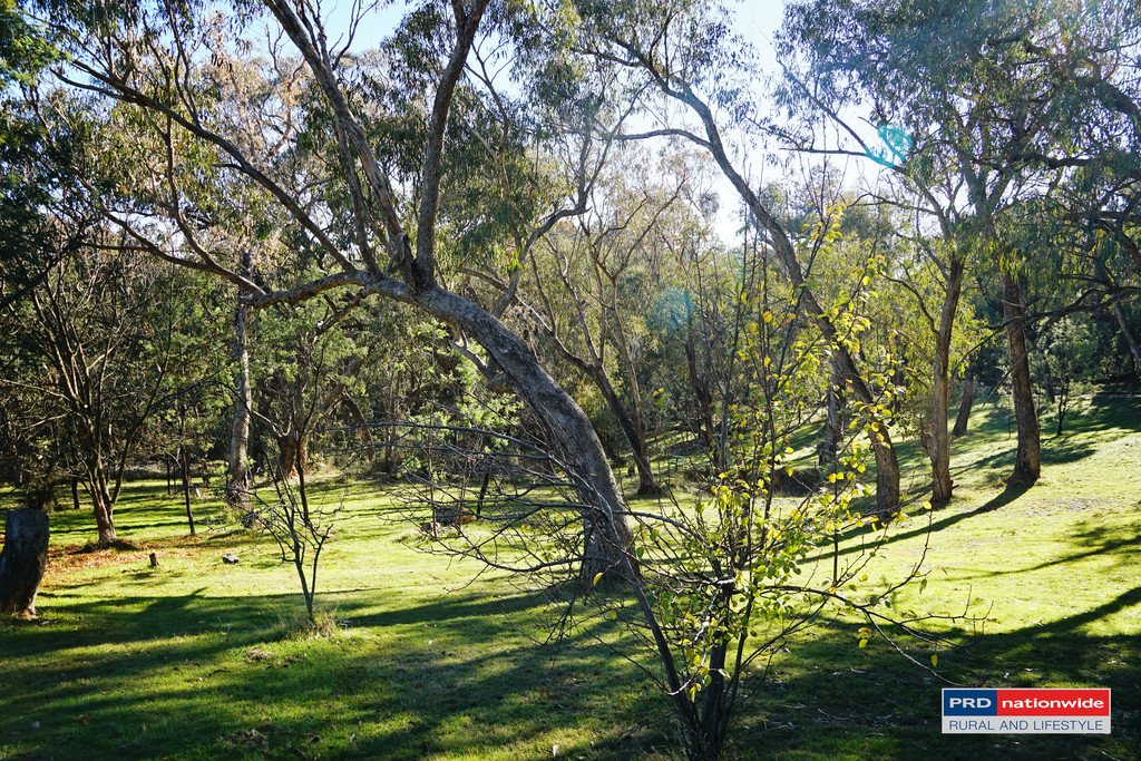 164 Power Street TUMBARUMBA 21