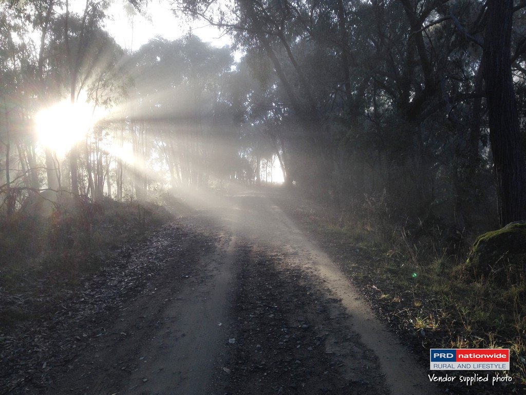 164 Power Street TUMBARUMBA 24