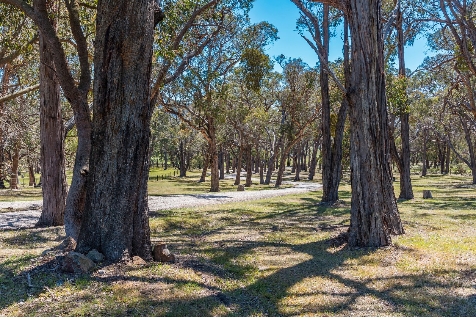 Real Estate and Property in 164 Whitebridge Road, Newham, VIC