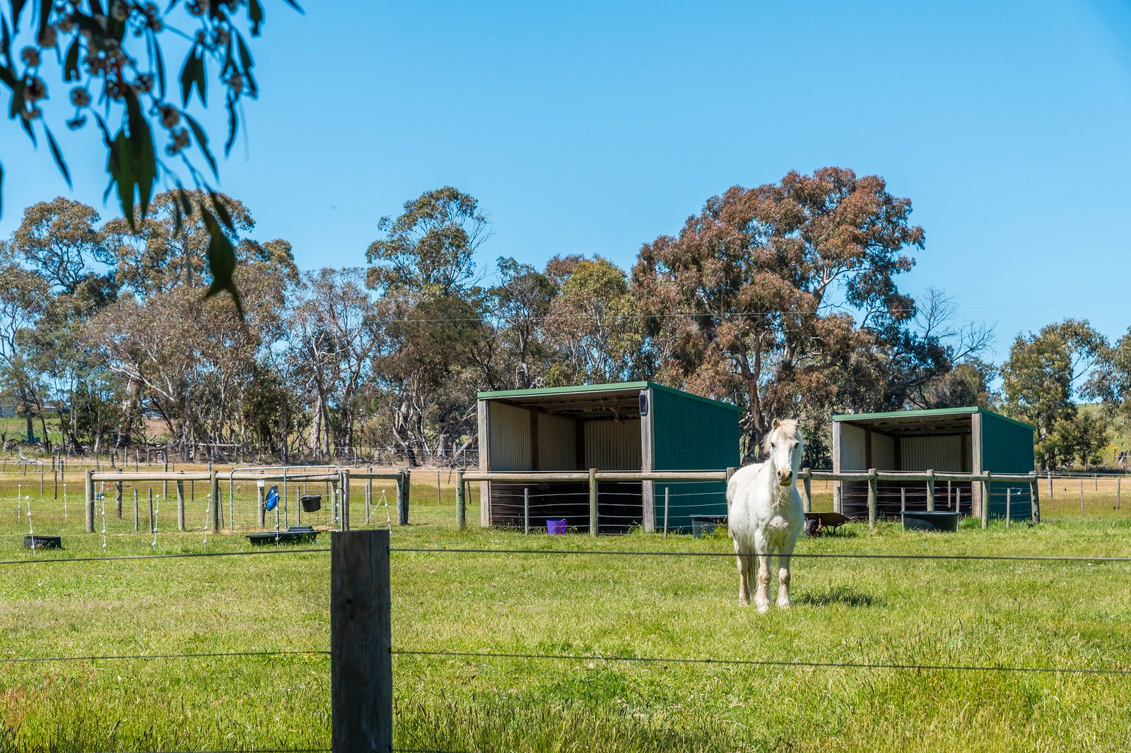 Real Estate and Property in 164 Whitebridge Road, Newham, VIC