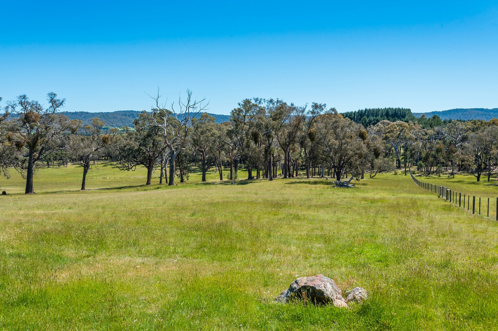 Real Estate and Property in 164 Whitebridge Road, Newham, VIC