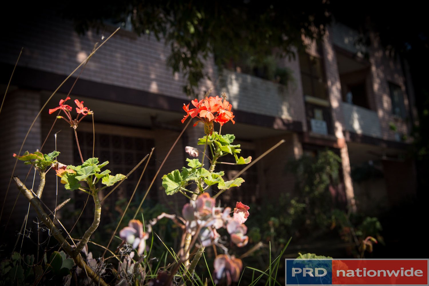 16/438 Guildford Road GUILDFORD 2