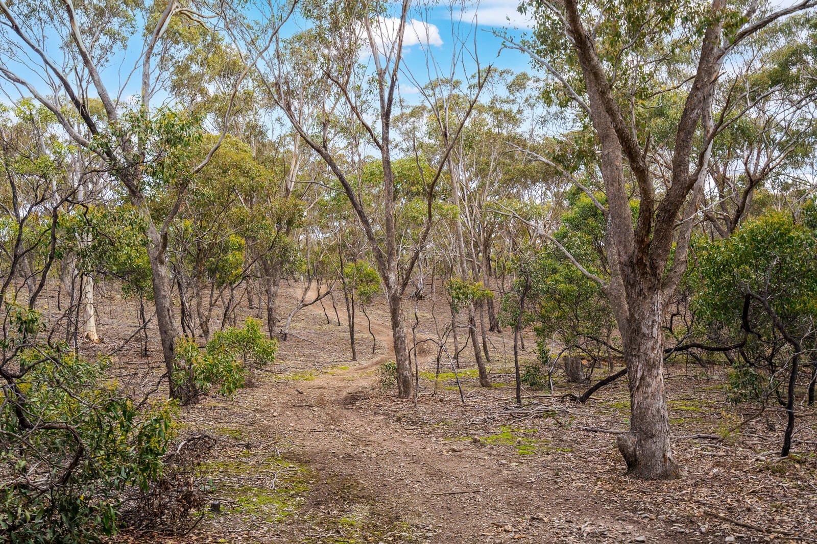 Real Estate and Property in 165-197 Hjorths Road, Toolern Vale, VIC