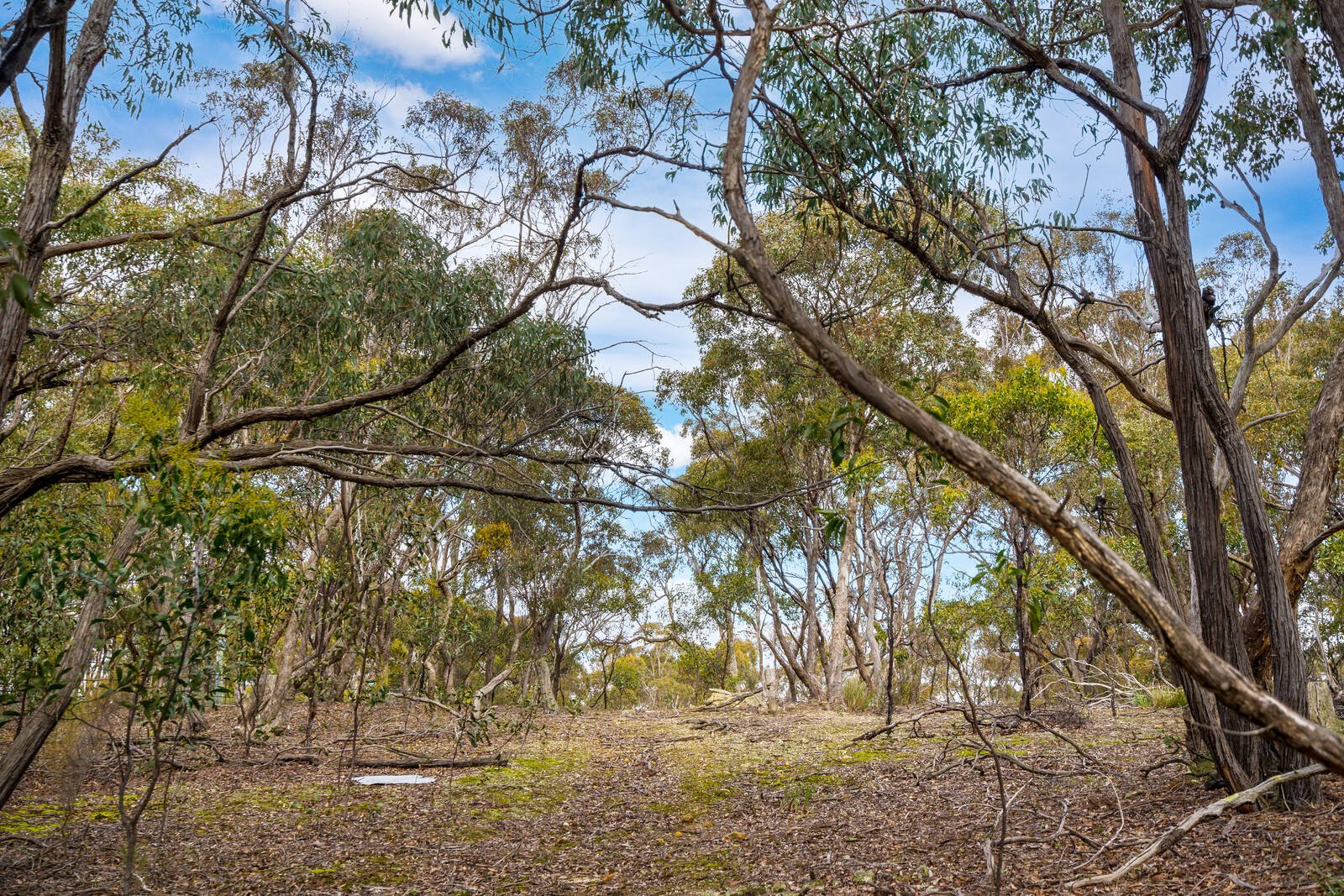 Real Estate and Property in 165-197 Hjorths Road, Toolern Vale, VIC